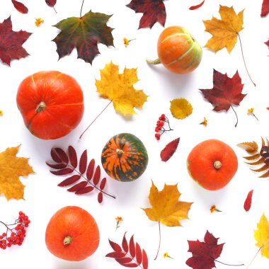 Pumpkins, yaprakları ve beyaz arka plan üzerinde izole kartopu ile gıda kompozisyon