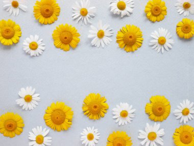 Gri zemin üzerine sarı ve beyaz daises ile çiçek kompozisyon