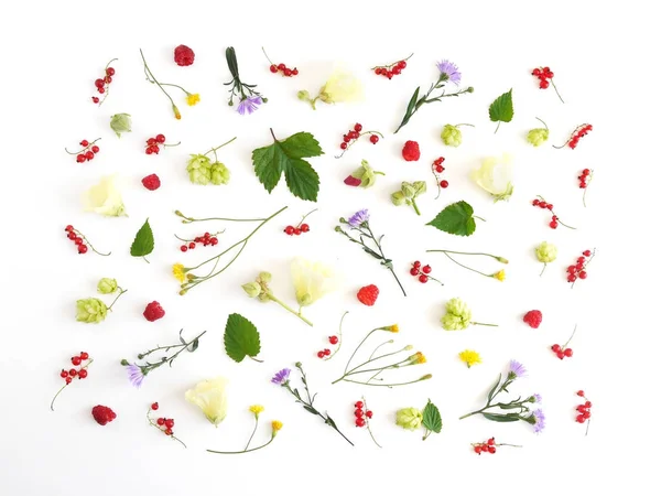 Composition with currants, green leaves, hop plants, pink and yellow hollyhocks