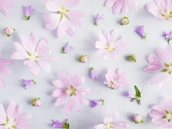 Samenstelling Van Bloemen Met Lila Hollyhocks Lichte Achtergrond — Stockfoto