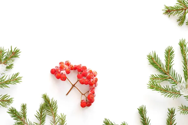 Composition Noël Avec Branches Sapin Framboises — Photo