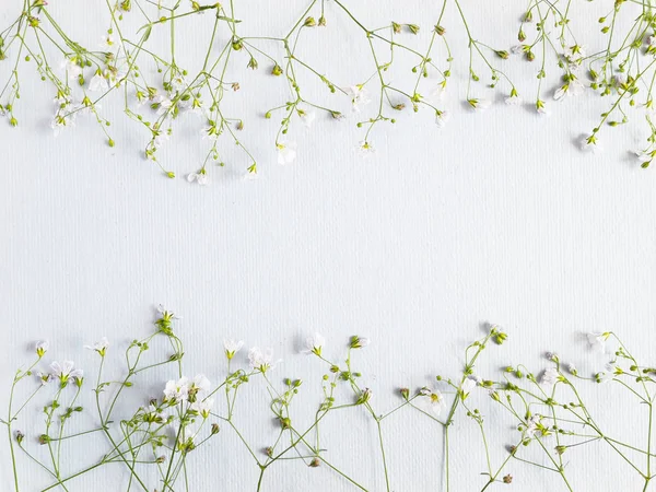 Composição Flor Com Flores Brancas Selvagens — Fotografia de Stock