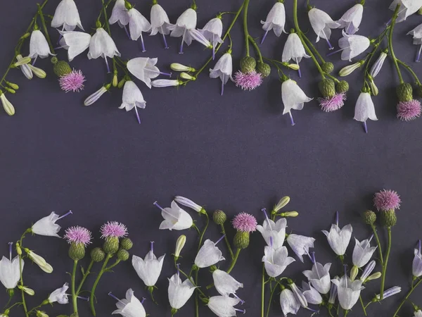Composición Flores Con Flores Campana Inmortelles — Foto de Stock