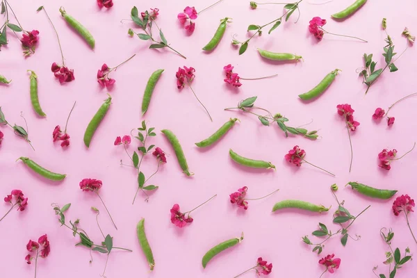 Floral composition with sweet peas and snow peas on pink background