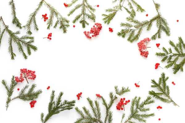 クリスマスのモミの枝 Ashberries のコンポジション — ストック写真
