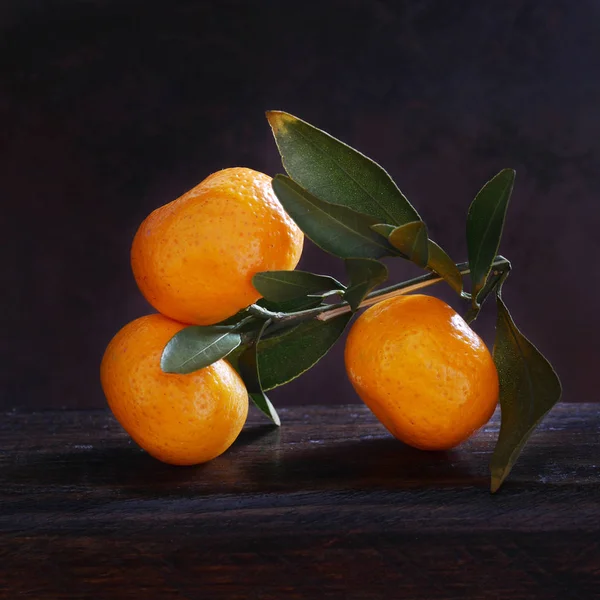 Vista Cercana Rama Con Mandarinas Sobre Fondo Oscuro — Foto de Stock