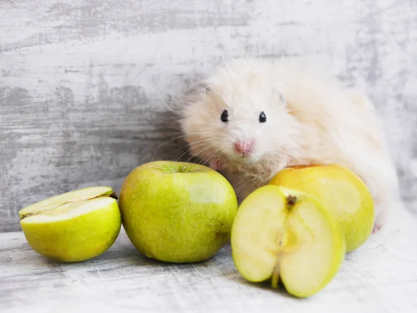 浅米色的仓鼠坐在黄色苹果后面的破旧背景 — 图库照片