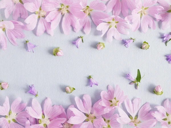 Composición Floral Con Hollyhocks Lila Sobre Fondo Claro — Foto de Stock