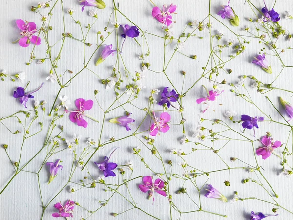 Floral Samenstelling Met Bloem Bellen Wilde Bloemen Grijze Achtergrond — Stockfoto