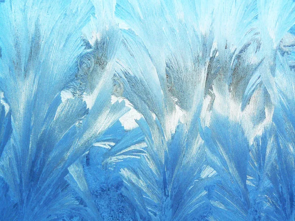 Donmuş sarkıt mavi ve beyaz renklerde closeup görünümü