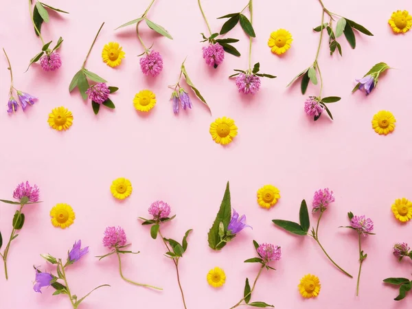 Composição Flor Com Trevo Sinos Flores Margaridas Fundo Rosa — Fotografia de Stock