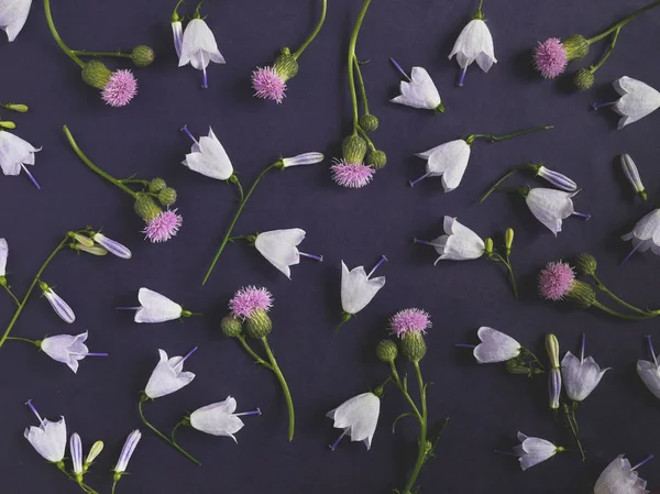 Composición Flores Con Flores Campana Inmortelles — Foto de Stock