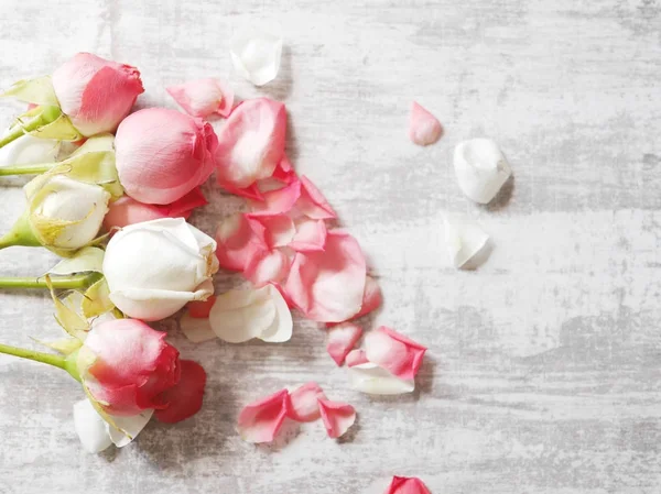 Rosa Rosas Brancas Com Pétalas Superfície Cinzenta — Fotografia de Stock