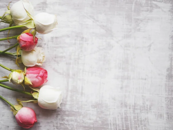 Rosa Rosas Brancas Superfície Cinzenta — Fotografia de Stock