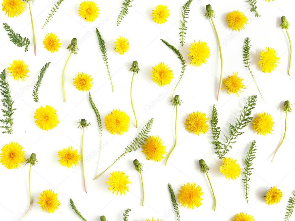 Botanical Composition Yellow Flowers Green Leaves Isolated ...
