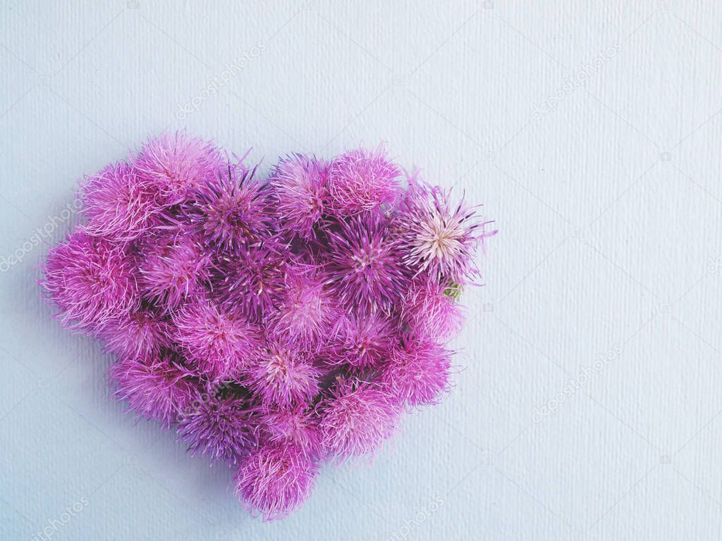 Heart from burdock flowers on light grey background