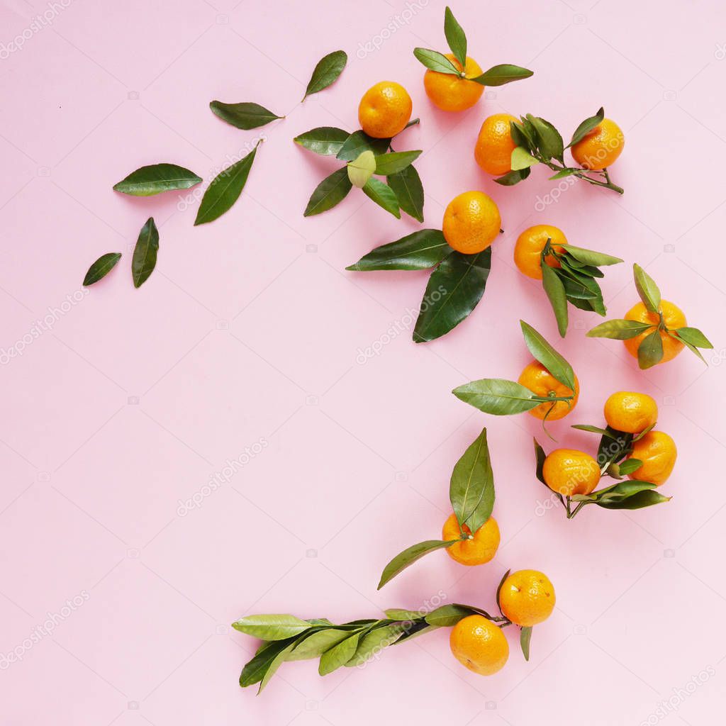 Composition of small tangerines with leaves on a pink background