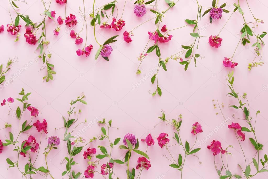 Floral composition with sweet peas and clover flowers on pink background