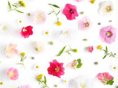Hollyhocks, karahindiba ve chamomiles beyaz zemin üzerine çiçek kompozisyonu