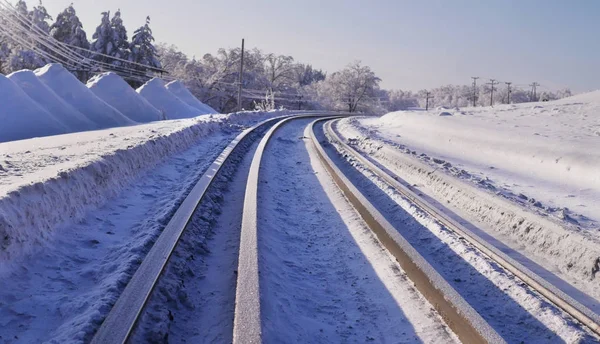 Kış Orman Içinde Donmuş Demiryolu Parça — Stok fotoğraf