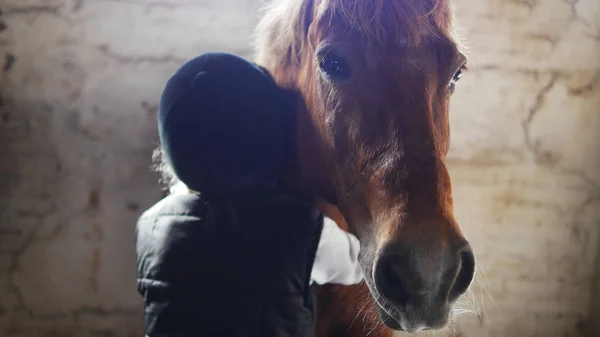 Kahverengi at at ahır sarılma çocuk
