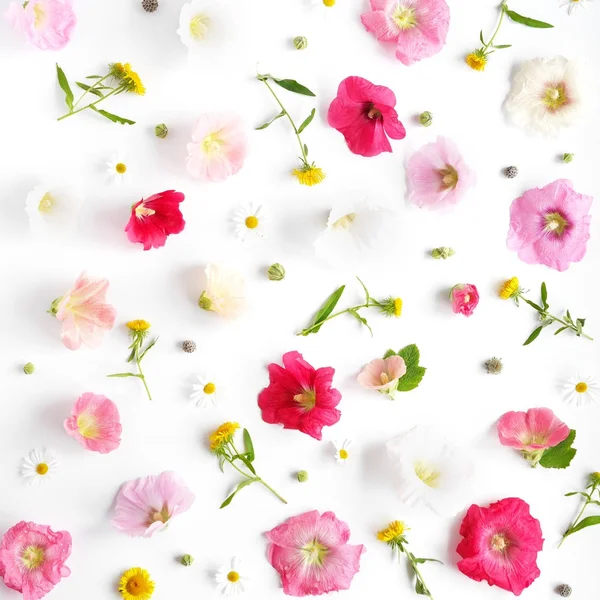 Composición Flores Con Hollyhocks Dientes León Manzanillas Sobre Fondo Blanco — Foto de Stock