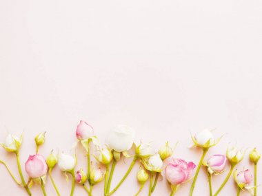 Pembe güller ve yaprakları üzerinde pembe bir arka plan, kopya alanı ile Üstten Görünüm