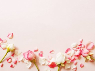 Pembe güller ve yaprakları üzerinde pembe bir arka plan, kopya alanı ile Üstten Görünüm