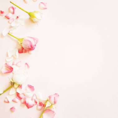 Pembe güller ve yaprakları üzerinde pembe bir arka plan, kopya alanı ile Üstten Görünüm