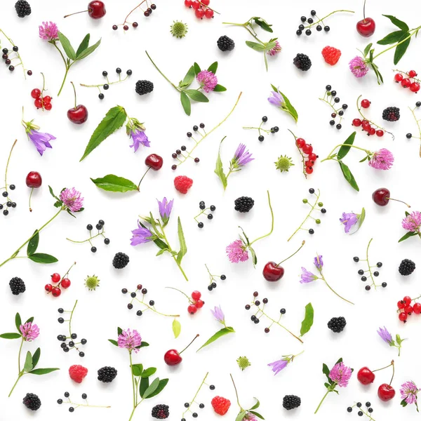 Composition Plants Wild Flowers Berries Isolated White Background — Stock Photo, Image