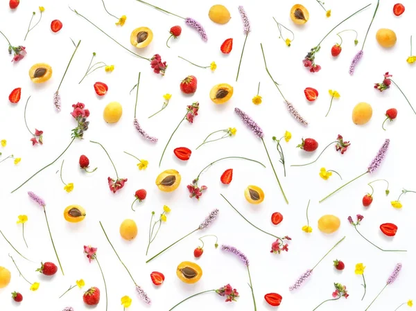 Composición Con Plantas Flores Silvestres Bayas Sobre Fondo Blanco — Foto de Stock