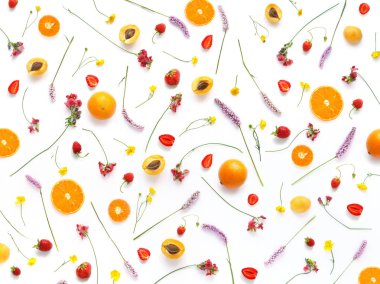 Bitkiler, kır çiçekleri ve beyaz arka plan üzerinde meyveleri ile kompozisyon