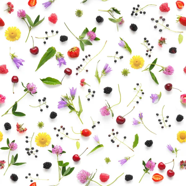 Composition Plants Wild Flowers Berries Isolated White Background — Stock Photo, Image
