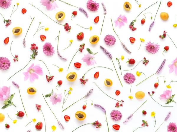 Composition Plants Wild Flowers Berries White Background — Stock Photo, Image