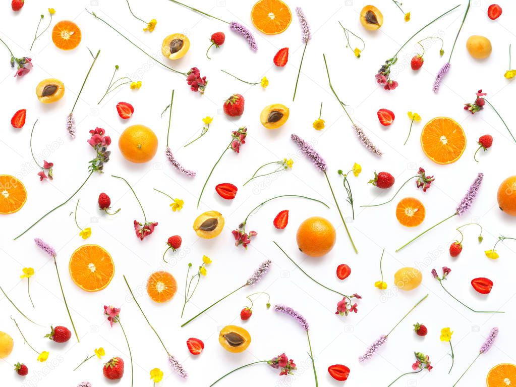Composition with plants, wild flowers and berries on white background