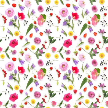 Bitkiler, kır çiçekleri ve meyveleri, beyaz arka plan üzerinde düz yatıyordu, en iyi görünümü izole seamless modeli. Yaz, kavramı Bahar, anneler günü, 8 Mart.