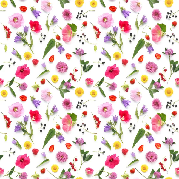 Seamless Pattern Plants Wild Flowers Berries Isolated White Background Flat — Stock Photo, Image