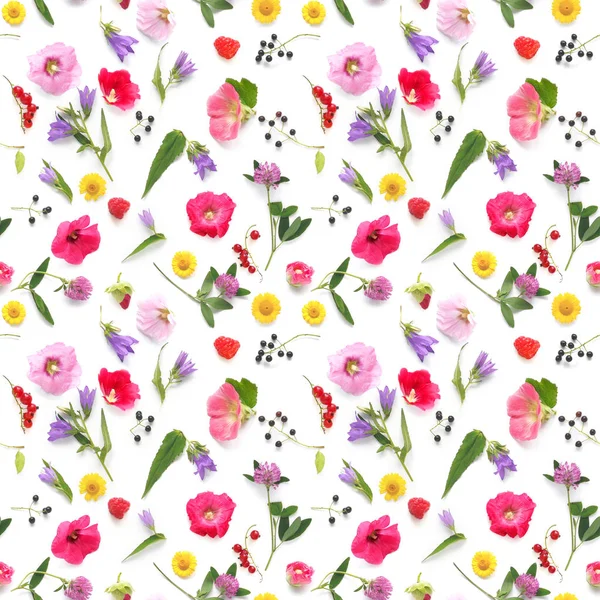 Seamless Pattern Plants Wild Flowers Berries Isolated White Background Flat — Stock Photo, Image