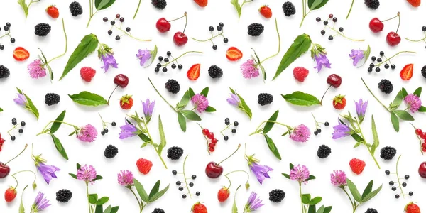 Seamless Pattern Plants Wild Flowers Berries Isolated White Background Flat — Stock Photo, Image