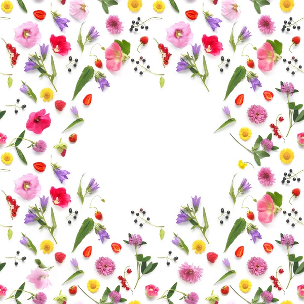 Seamless Pattern Plants Wild Flowers Berries Isolated White Background Flat — Stock Photo, Image