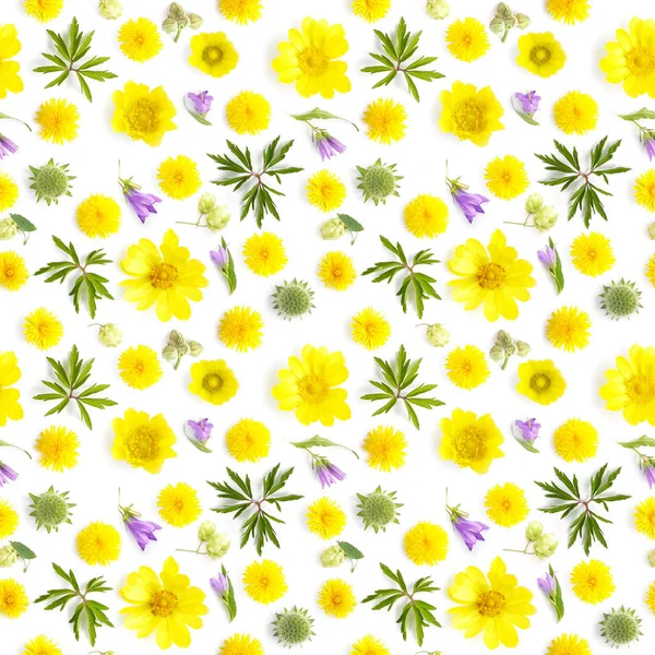Minta Készült Természetes Sárga Wildflowers Absztrakt Virág Kompozíció Keret Növények — Stock Fotó