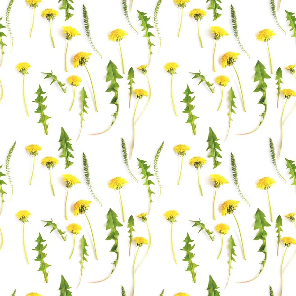 Αφηρημένο Floral Φόντο Χωρίς Ραφή Πρότυπο Από Άγρια Φυτά Κίτρινο — Φωτογραφία Αρχείου