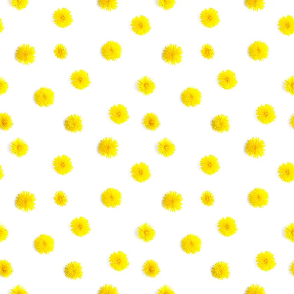 由天然黄色野花制成的图案 抽象的花卉成分 植物的框架 顶部视图 植物背景 母亲节 3月8日背景 — 图库照片