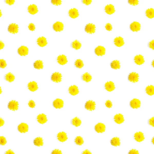 Pattern made from natural yellow wildflowers. Abstract floral composition. Frame of plants. Top view, flat lay. Floral, plants background. Mother's Day, March 8 background