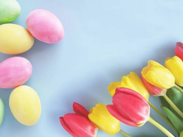 colorful ester eggs and tulips on blue background
