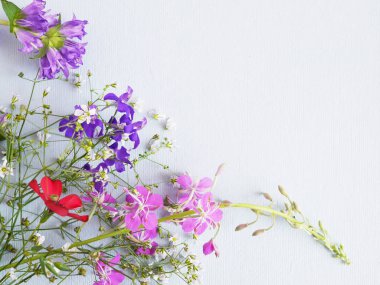 kır çiçekleri mavi zemin üzerine yakın çekim 