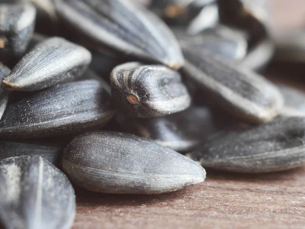 Sunflower Seeds Close — Stock Photo, Image