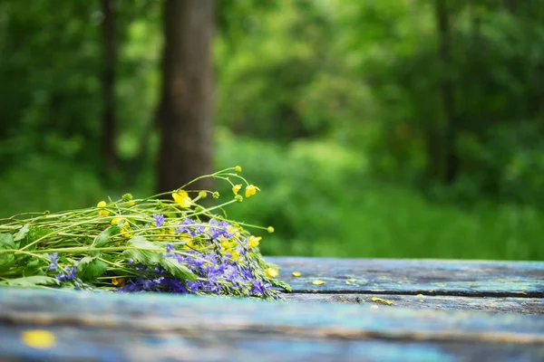 Zbliżenie Kwiatów Kolorowe Pola Ławeczce Drewniane Niewyraźne Tło — Zdjęcie stockowe