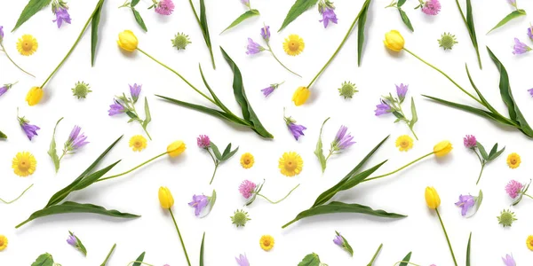 Close Photo Spring Flowers Set Isolated White Background — Stock Photo, Image