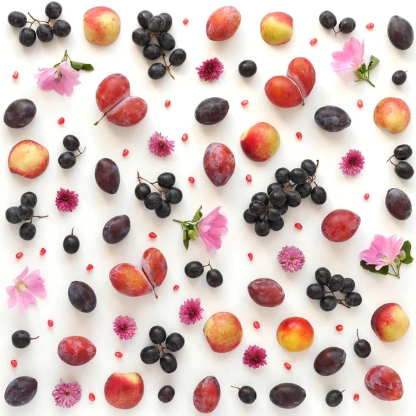 close-up photo of fresh fruits set of apples and plums on white table background